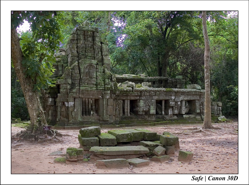 2006 - 07 - Temple angkor - Ta Prohm 02